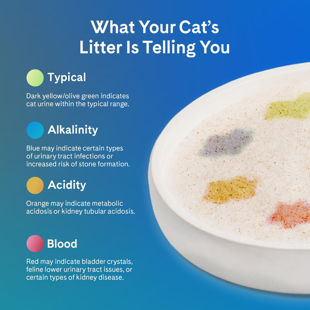 PrettyLitter Health Monitoring Cat Litter (Lotus Flower, Non Clumping) | Lightweight & Low Tracking, Color Changing Silica Gel Crystals, Advanced Odor Control — 6 Lbs, Pack of 1 (Up to 1 Month Supply)