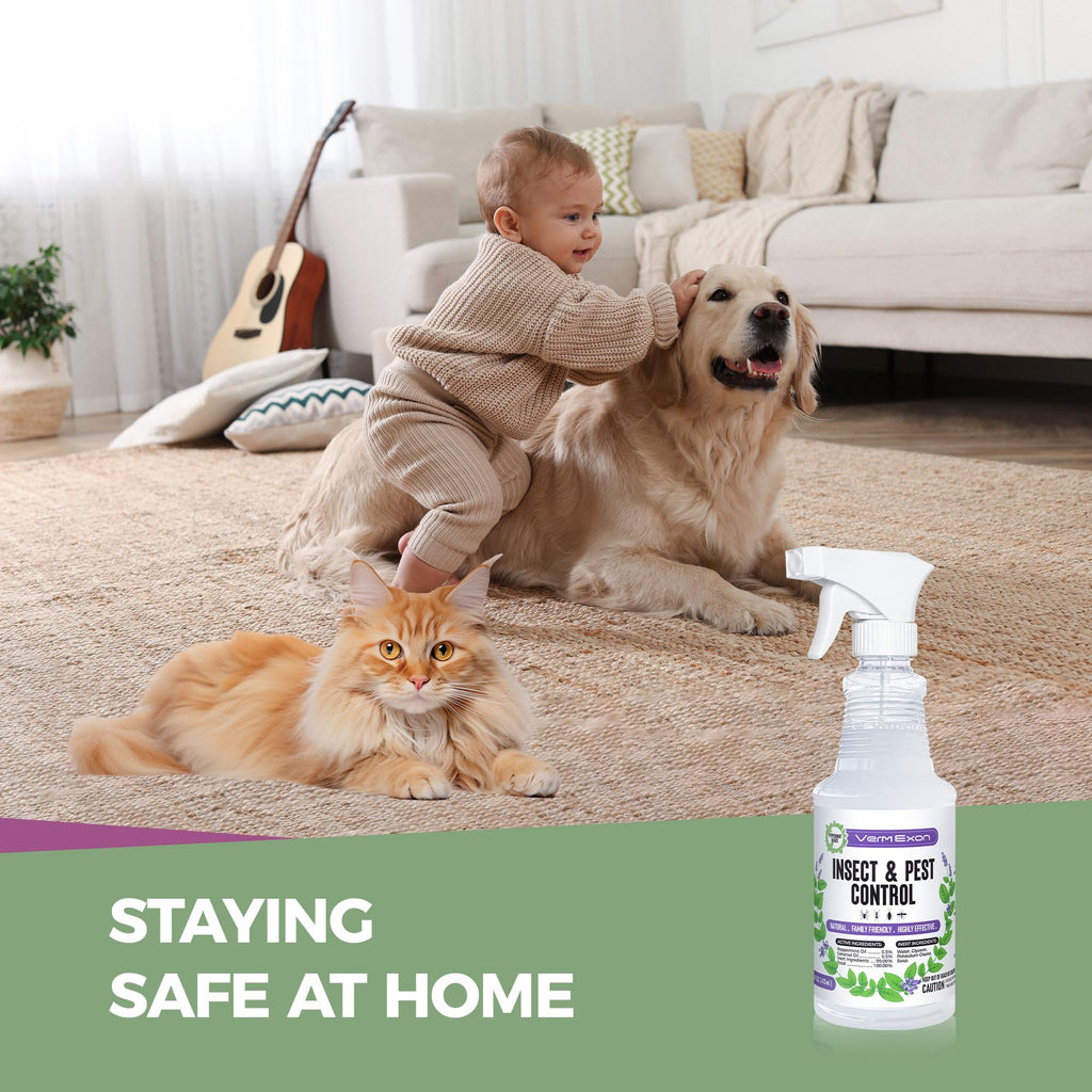 VermExon Peppermint Oil Insect & Pest Control Spray – 16oz Natural Plant-Based Bug Killer for Spiders, Ants, Flies, and Other Insects, Safe for Home & Kitchen Use